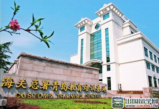 培训中心上半年度工作总结