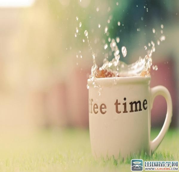 翻译类个人简历