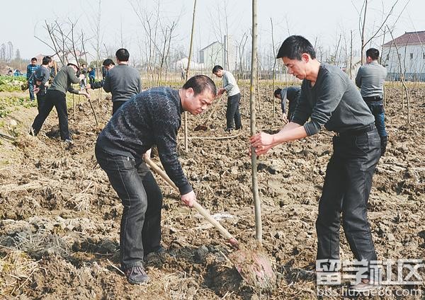 植树节活动新闻稿