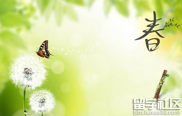 赞美春天的诗句