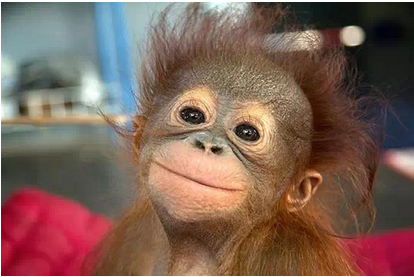 世界微笑日演讲稿