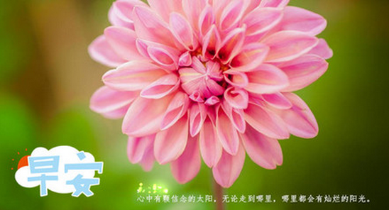 早安心语正能量图片
