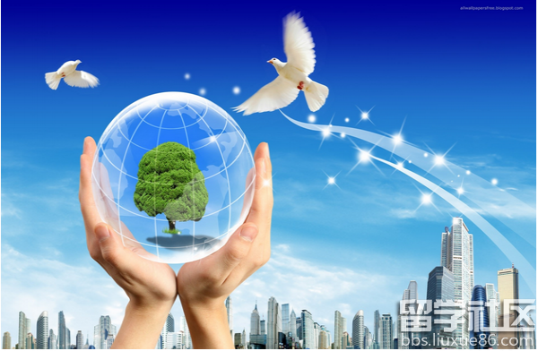 世界环境日主题