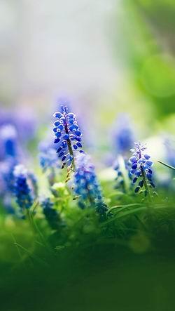 常用电脑的爱眼护眼小常识