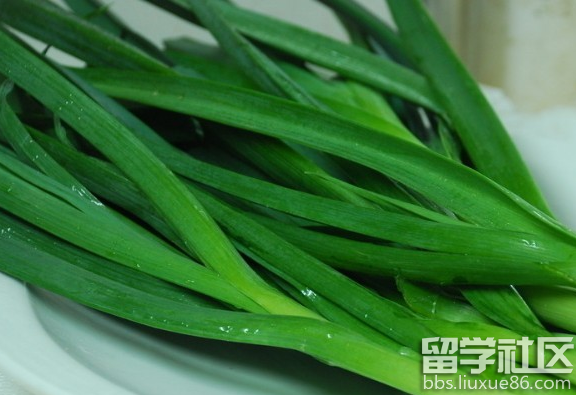 夏天吃什么菜最好