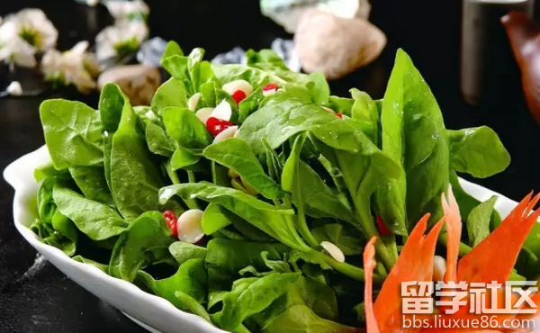 夏天吃什么菜