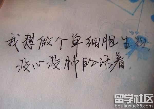 唯美的句子个性签名