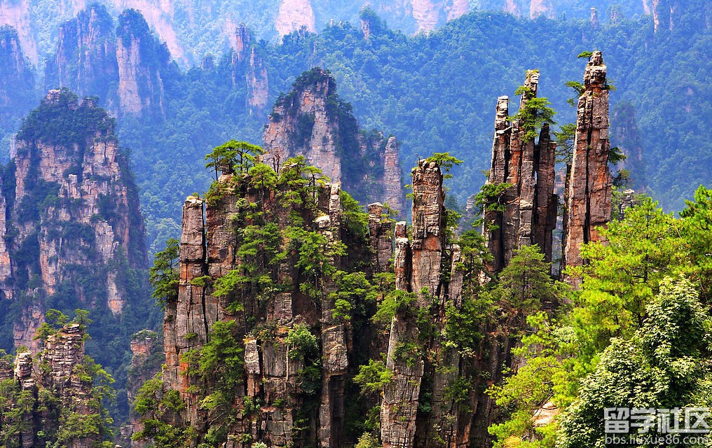 导游证：张家界导游词