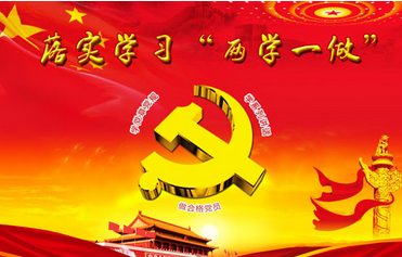 两学一做活动总结