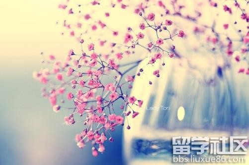 忧伤的句子