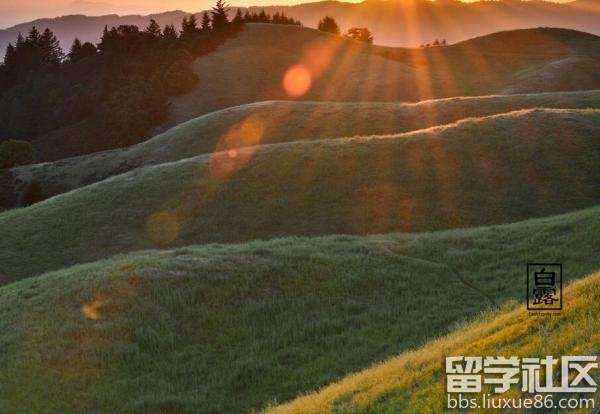 白露是什么意思