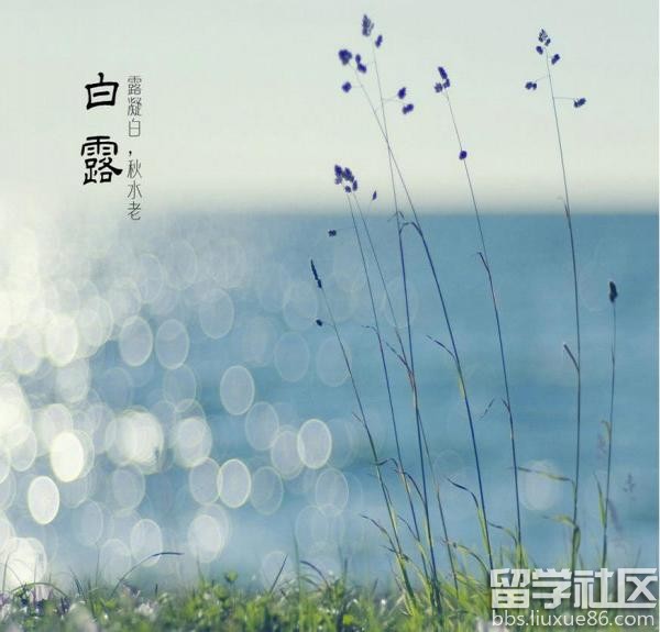 白露养生防秋燥