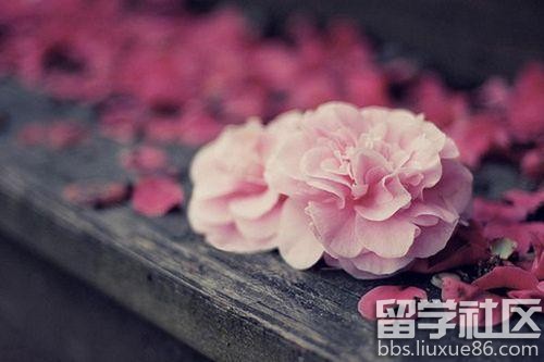 人生感悟经典句子