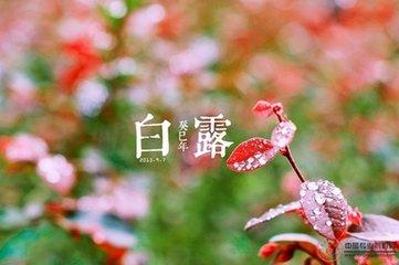 白露时节养生吃什么