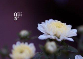 白露时节防秋燥、减苦增辛勿过饱