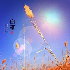 白露注意防着凉
