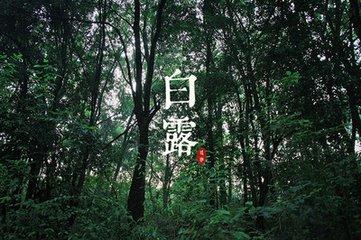 白露养生饮食结构