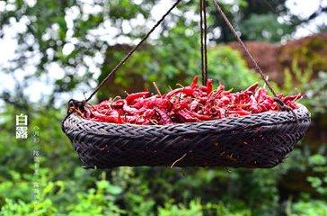 白露节气 多吃果蔬常泡脚