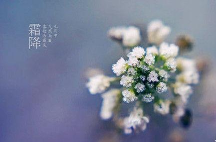 霜降节气吃什么 大枣好吃勿多食