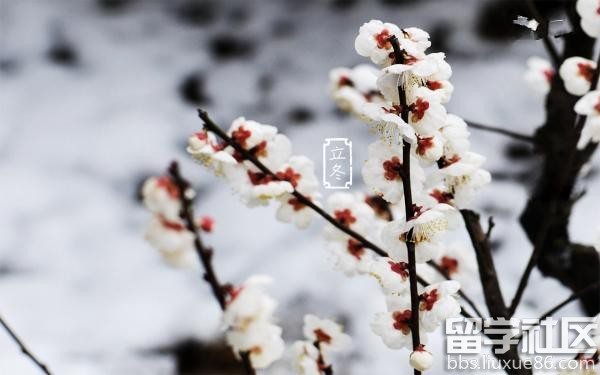 立冬进补最佳期