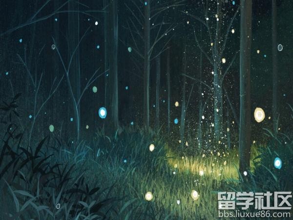 虫儿飞歌词