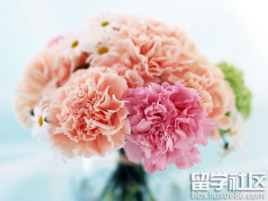 2016教师节送什么礼物好