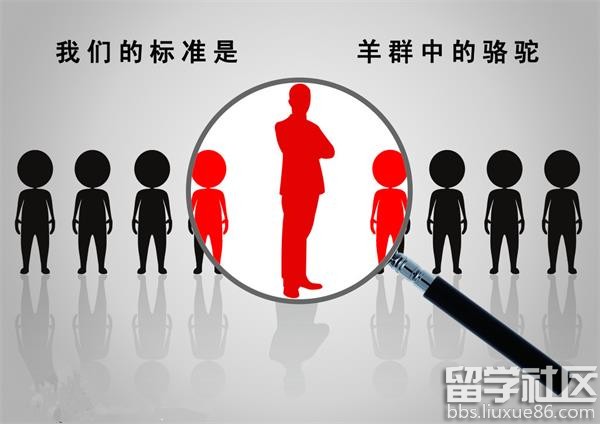 不上班也能活得很好?不上班的23种活法!