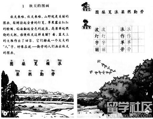 2016下半年教师资格证考试《小学教育教学知识与能力》深度预测试卷及答案(5)
