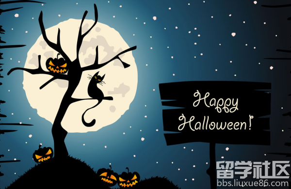 万圣节的图片