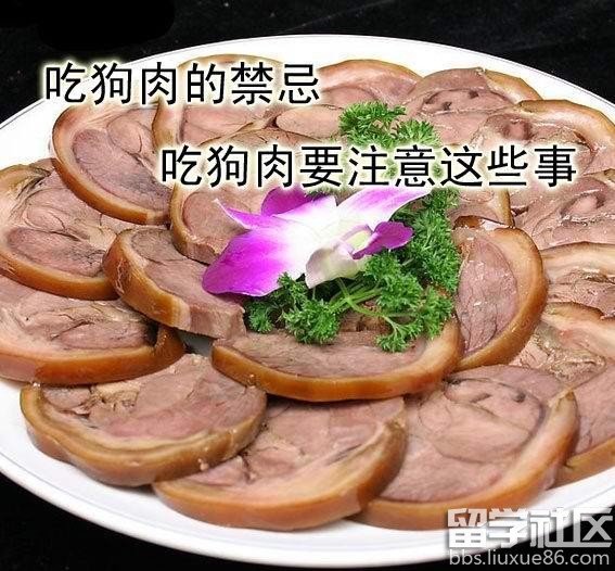 吃狗肉的禁忌