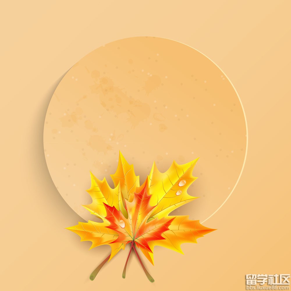冬的散文