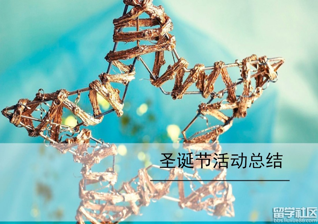 2016圣诞节活动总结PPT