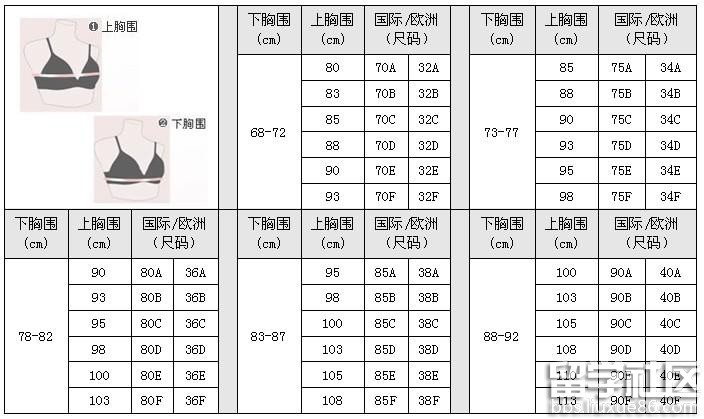 内衣尺码对照表
