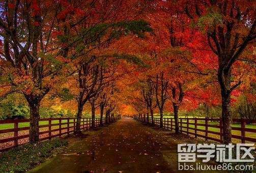 小学秋游作文大全