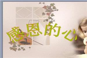 小学少先队最新感恩主题活动总结