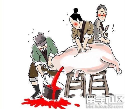 春节习俗：腊月二十六 杀猪割年肉