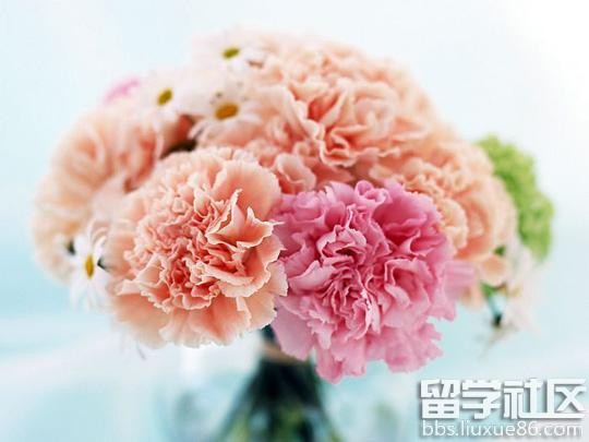 2017年三八妇女节送什么礼物