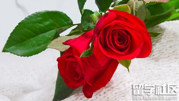 2016年情人节是哪天