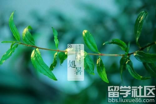 处暑养生的六个注意事项