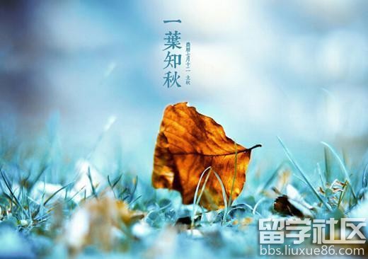 立秋吃什么