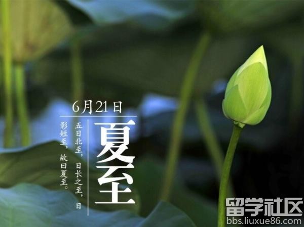 夏至的图片