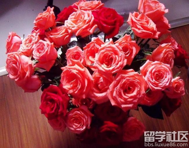 西方情人节礼物送老婆