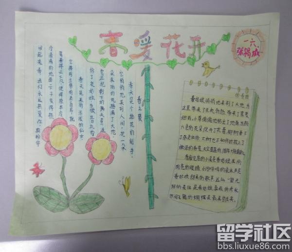 2017植树节的手抄报