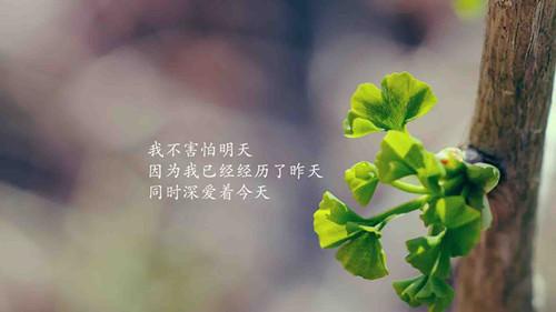 经典励志座右铭大全