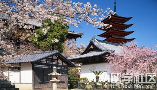 日本东京大学奖学金解析