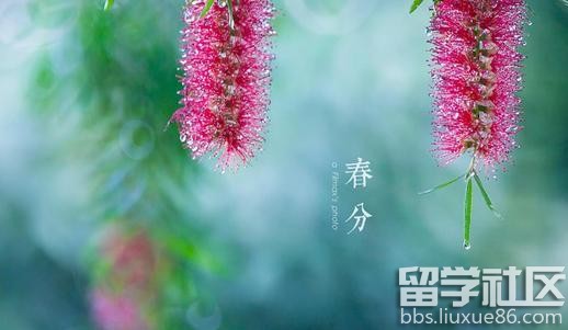 春分的古诗十首