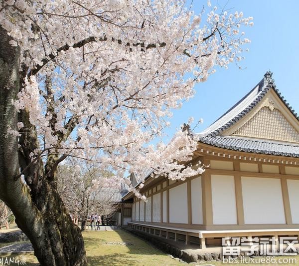 日本人饮食习惯及禁忌