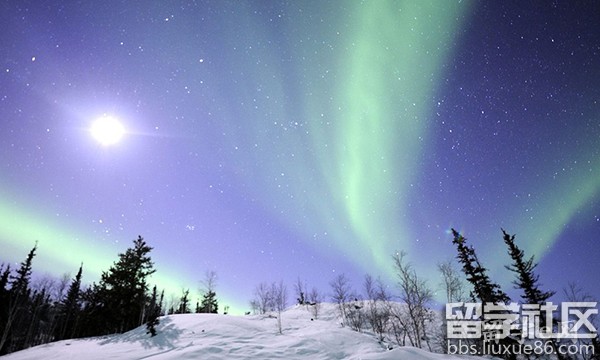 加拿大教育体系解读