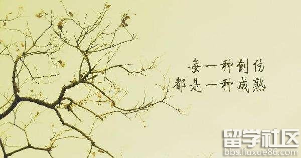 工作励志正能量句子