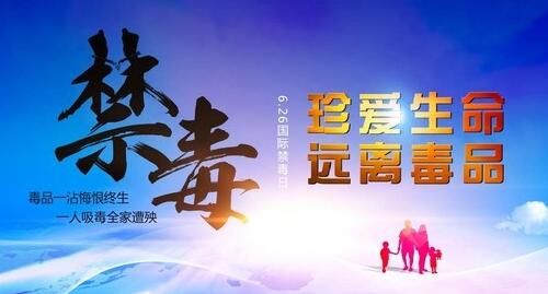 六年级关于禁毒的600字作文